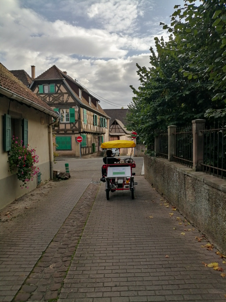 Les Rosalies du Piémont à Boersch - Location de Rosalies en Alsace