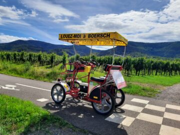 Les Rosalies du Piémont à Boersch été 2021 - Location de Rosalies en Alsace