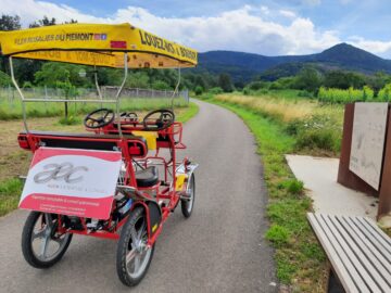 Les Rosalies du Piémont à Boersch été 2021 - Location de Rosalies en Alsace