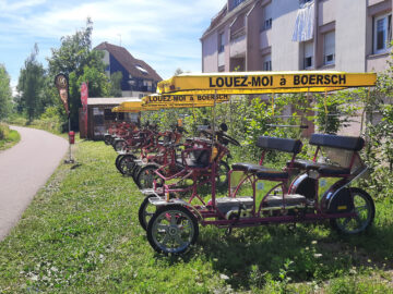 Les Rosalies du Piémont à Boersch été 2022 - Location de Rosalies en Alsace