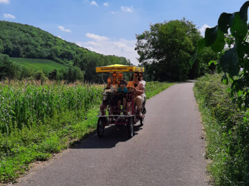 Les Rosalies du Piémont à Boersch été 2022 - Location de Rosalies en Alsace
